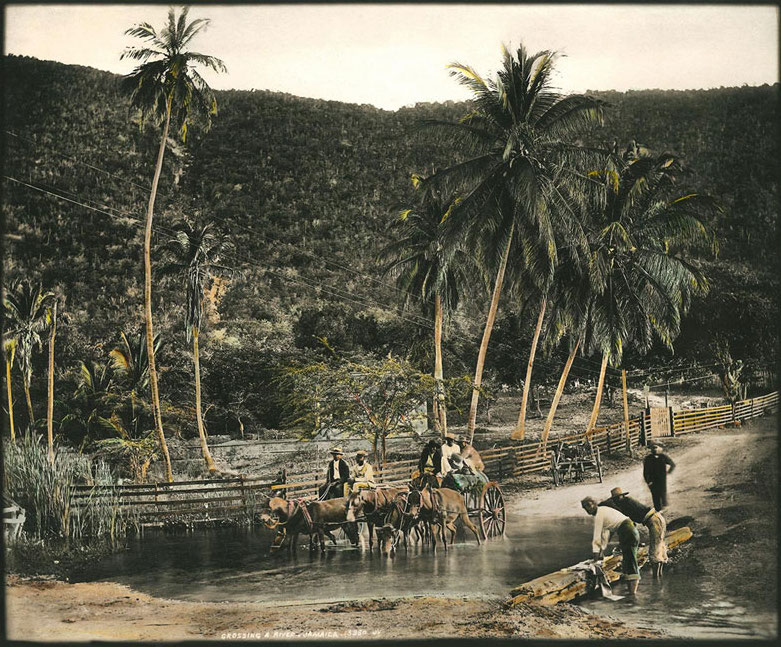 Ingrid Pollard works on loan to MK Gallery 12 Mar 29 May 2022